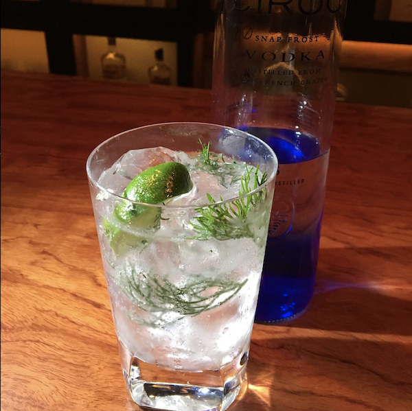 Elegant vodka tonic